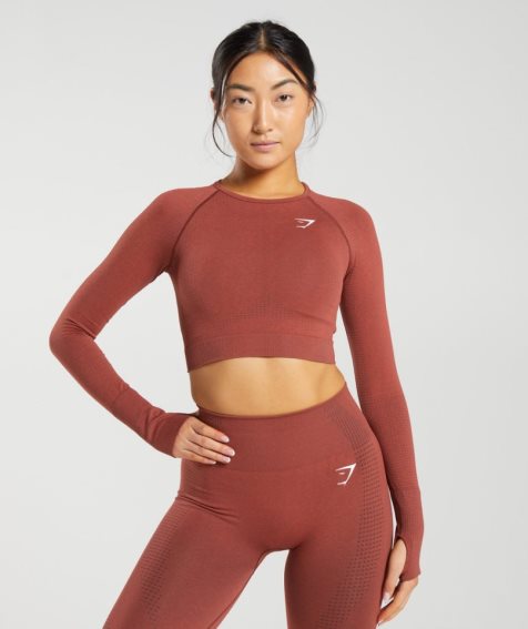 Women's Gymshark Vital Seamless 2.0 Cropped Tops Brown | NZ 1DJXGR